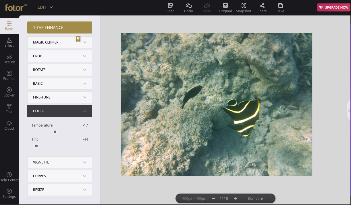 Free Online Photo Editors Pixlr Vs Fotor Framing The Reef